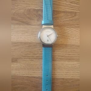 Women's 26MM Skagen Model 355SSLI8A1 Quartz Watch